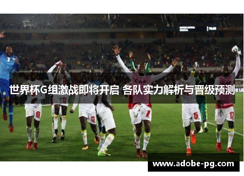 世界杯G组激战即将开启 各队实力解析与晋级预测