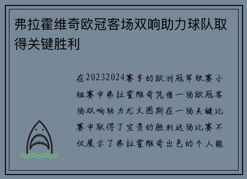 弗拉霍维奇欧冠客场双响助力球队取得关键胜利
